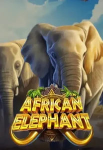 african-elephant